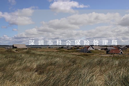 深圳市社会保险管理局 深圳市社会保险管理局