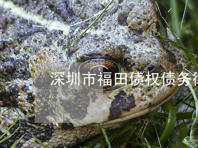 深圳市福田债权债务律师收费标准