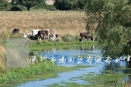 深圳市福田区专做专利律师 深圳市福田区专做专利律师