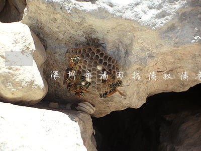 深圳市福田找债权债务律师代理费 深圳市福田找债权债务律师代理费