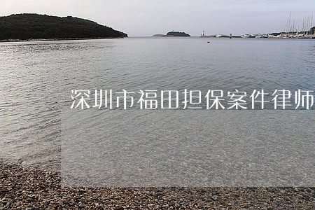 深圳市福田担保案件律师律所 深圳市福田担保案件律师律所