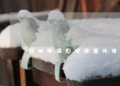 深圳市福田担保案件律师怎么委托 深圳市福田担保案件律师怎么委托