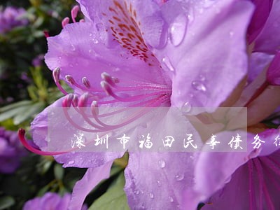 深圳市福田民事债务律师找谁好 深圳市福田民事债务律师找谁好