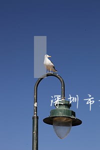 深圳市福田民事债务律师收费标准 深圳市福田民事债务律师收费标准