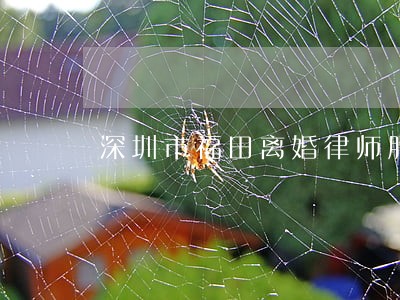 深圳市福田离婚律师服务