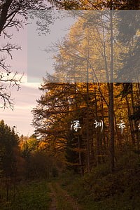 深圳市科技局法律法规 深圳市科技局法律法规