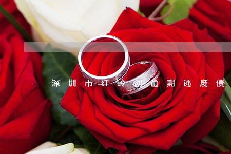 深圳市红岭创逾期逃废债公布名单 深圳市红岭创逾期逃废债公布名单