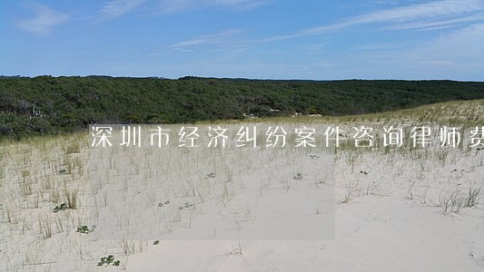 深圳市经济纠纷案件咨询律师费用 深圳市经济纠纷案件咨询律师费用