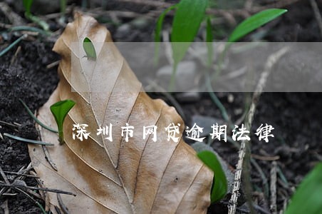 深圳市网贷逾期法律 深圳市网贷逾期法律