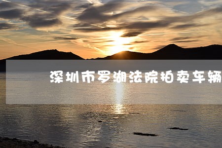 深圳市罗湖法院拍卖车辆 深圳市罗湖法院拍卖车辆