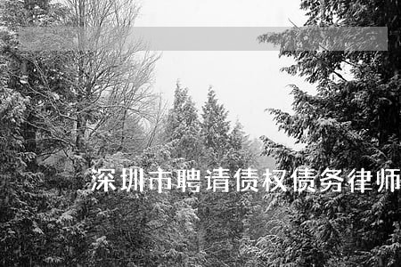 深圳市聘请债权债务律师咨询网站 深圳市聘请债权债务律师咨询网站