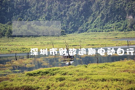 深圳市财政逾期电动自行车 深圳市财政逾期电动自行车