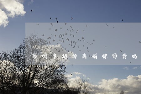 深圳市起诉离婚律师贵吗 深圳市起诉离婚律师贵吗