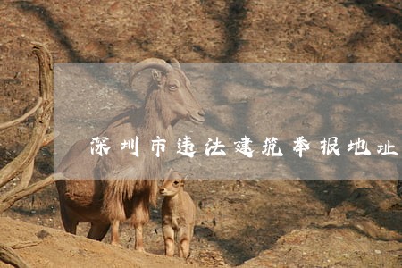 深圳市违法建筑举报地址 深圳市违法建筑举报地址