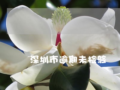 深圳市逾期未检验 深圳市逾期未检验
