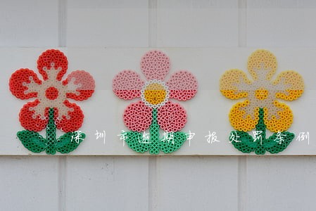 深圳市逾期申报处罚条例 深圳市逾期申报处罚条例