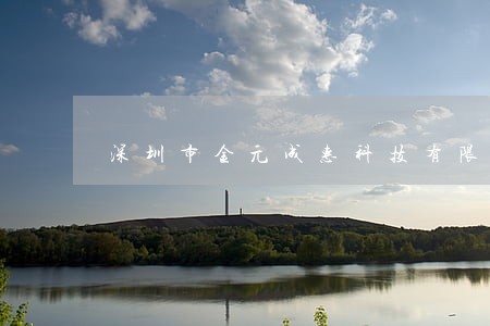 深圳市金元成惠科技有限公司法人 深圳市金元成惠科技有限公司法人