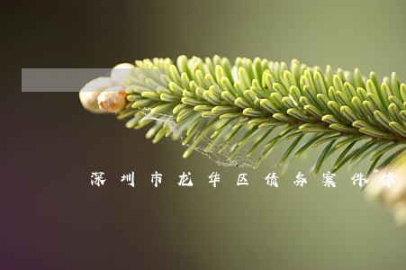 深圳市龙华区债务案件律师 深圳市龙华区债务案件律师
