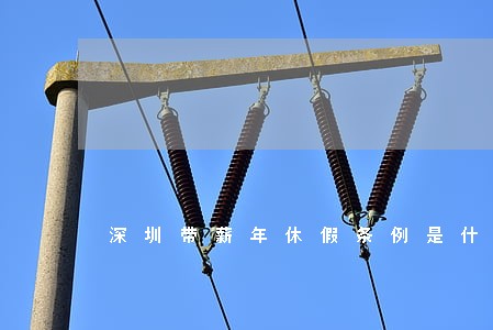 深圳带薪年休假条例是什么 深圳带薪年休假条例是什么