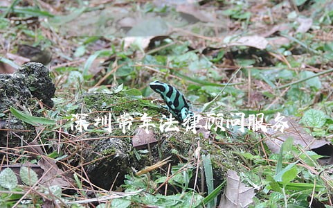 深圳常年法律顾问服务 深圳常年法律顾问服务