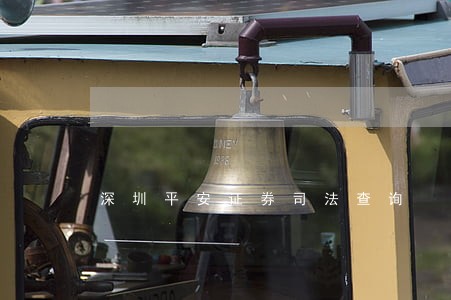 深圳平安证券司法查询