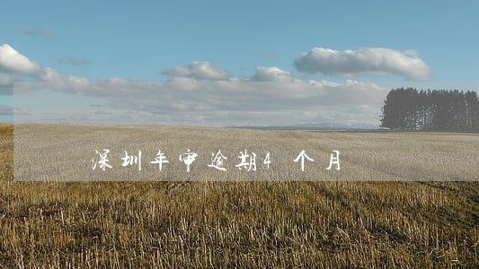 深圳年审逾期4个月 深圳年审逾期4个月