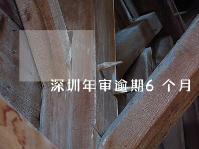 深圳年审逾期6个月