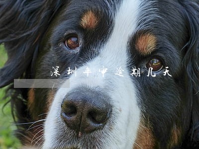 深圳年审逾期几天 深圳年审逾期几天