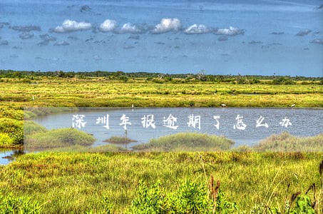深圳年报逾期了怎么办 深圳年报逾期了怎么办