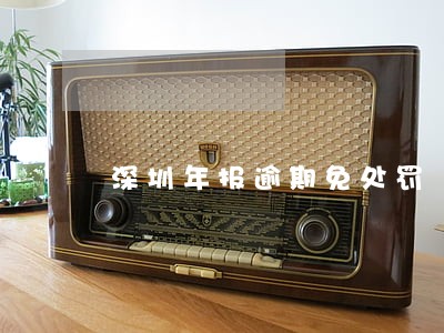 深圳年报逾期免处罚 深圳年报逾期免处罚