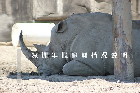 深圳年报逾期情况说明 深圳年报逾期情况说明