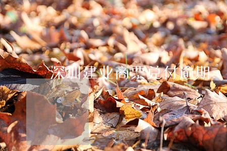 深圳建业商票兑付逾期 深圳建业商票兑付逾期
