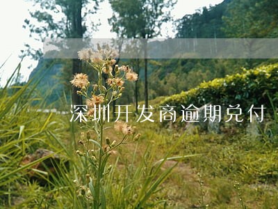 深圳开发商逾期兑付 深圳开发商逾期兑付