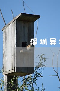 深圳异地逾期换证 深圳异地逾期换证