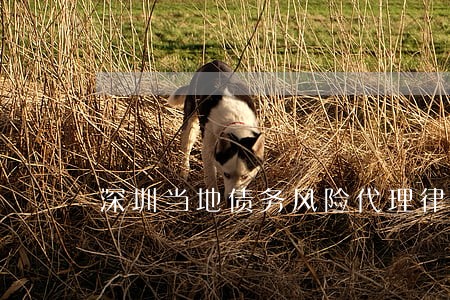 深圳当地债务风险代理律师收费 深圳当地债务风险代理律师收费