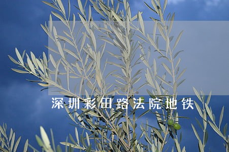 深圳彩田路法院地铁 深圳彩田路法院地铁
