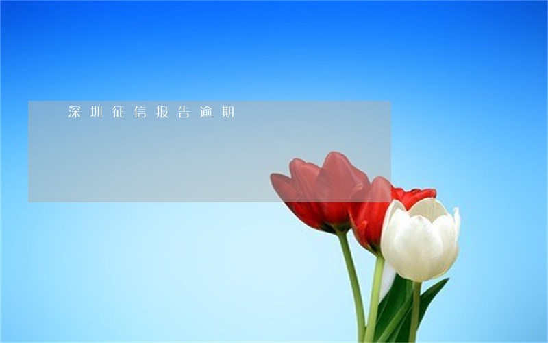 深圳征信报告逾期 深圳征信报告逾期