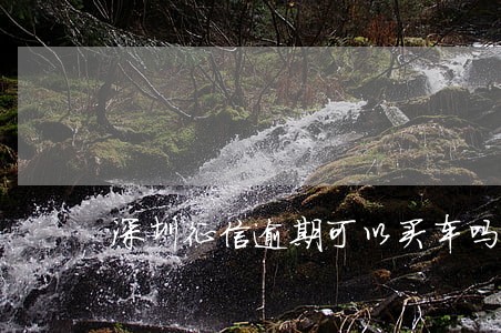 深圳征信逾期可以买车吗 深圳征信逾期可以买车吗