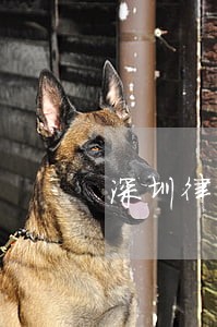 深圳律师事务所离婚律师 深圳律师事务所离婚律师