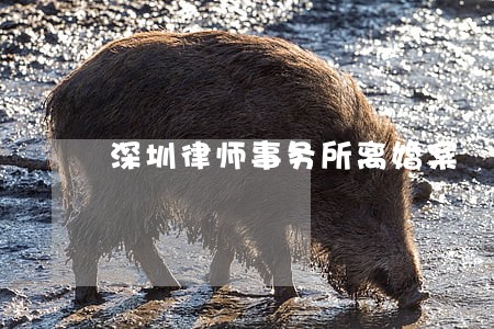 深圳律师事务所离婚案 深圳律师事务所离婚案