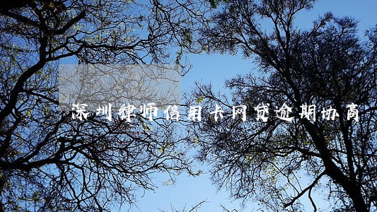深圳律师信用卡网贷逾期协商 深圳律师信用卡网贷逾期协商