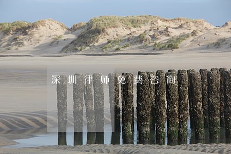 深圳律师免费咨询 深圳律师免费咨询