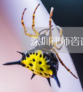 深圳律师咨询房产 深圳律师咨询房产