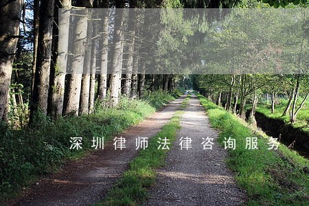 深圳律师法律咨询服务 深圳律师法律咨询服务