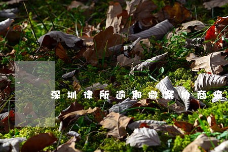 深圳律所逾期撤案协商恢复a 深圳律所逾期撤案协商恢复a