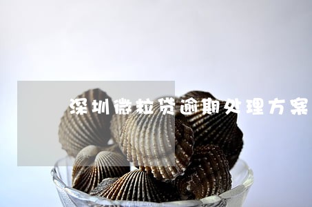 深圳微粒贷逾期处理方案 深圳微粒贷逾期处理方案