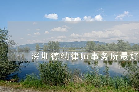 深圳德纳律师事务所最好的律师 深圳德纳律师事务所最好的律师