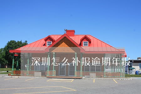 深圳怎么补报逾期年报 深圳怎么补报逾期年报