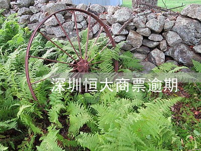 深圳恒大商票逾期 深圳恒大商票逾期