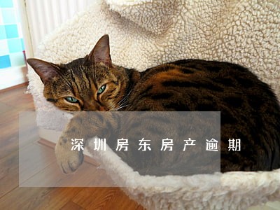 深圳房东房产逾期 深圳房东房产逾期